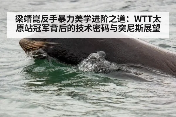 梁靖崑反手暴力美学进阶之道:WTT太原站冠军背后的技术密码与突尼斯展望