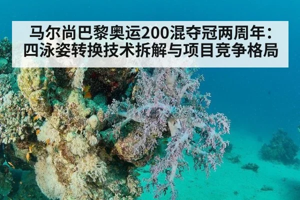 马尔尚巴黎奥运200混夺冠两周年:四泳姿转换技术拆解与项目竞争格局